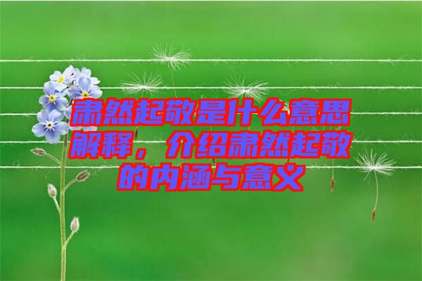 肅然起敬是什么意思解釋，介紹肅然起敬的內(nèi)涵與意義