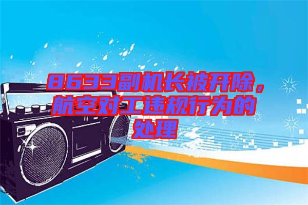 8633副機(jī)長被開除，航空對工違規(guī)行為的處理