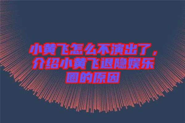 小黃飛怎么不演出了，介紹小黃飛退隱娛樂圈的原因