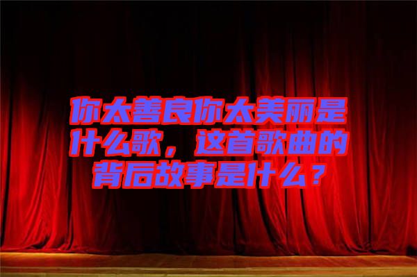 你太善良你太美麗是什么歌，這首歌曲的背后故事是什么？
