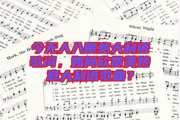 今無人入眠意大利語歌詞，如何欣賞美妙意大利語歌曲？