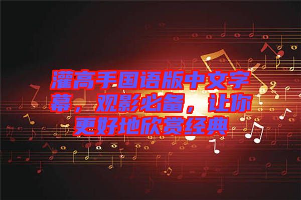灌高手國語版中文字幕，觀影必備，讓你更好地欣賞經(jīng)典