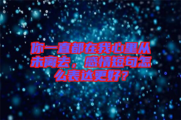 你一直都在我心里從未離去，感情短句怎么表達更好？