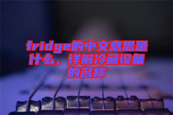 fridge的中文意思是什么，詳解冷藏設備的名稱