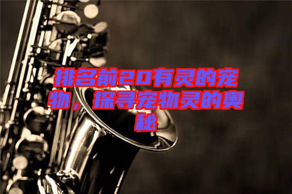排名前20有靈的寵物，探尋寵物靈的奧秘