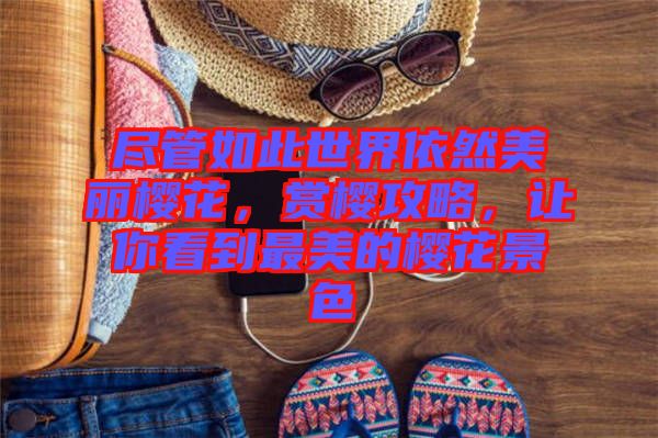 盡管如此世界依然美麗櫻花，賞櫻攻略，讓你看到最美的櫻花景色