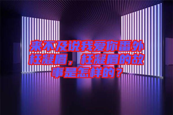 來(lái)不及說(shuō)我愛(ài)你番外枉凝眉，枉凝眉的故事是怎樣的？