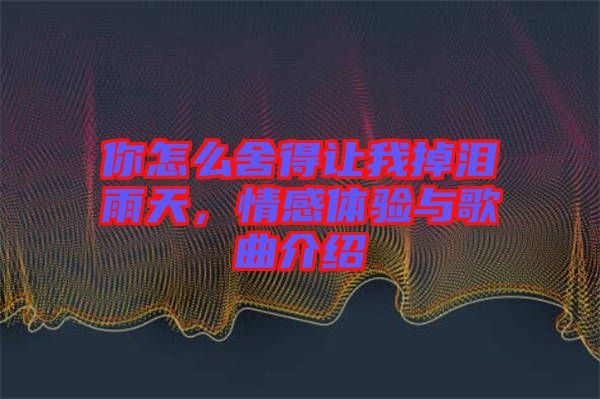 你怎么舍得讓我掉淚雨天，情感體驗與歌曲介紹