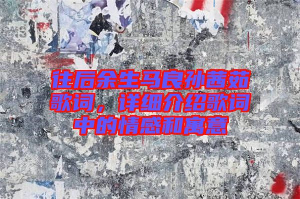 往后余生馬良孫茜茹歌詞，詳細介紹歌詞中的情感和寓意