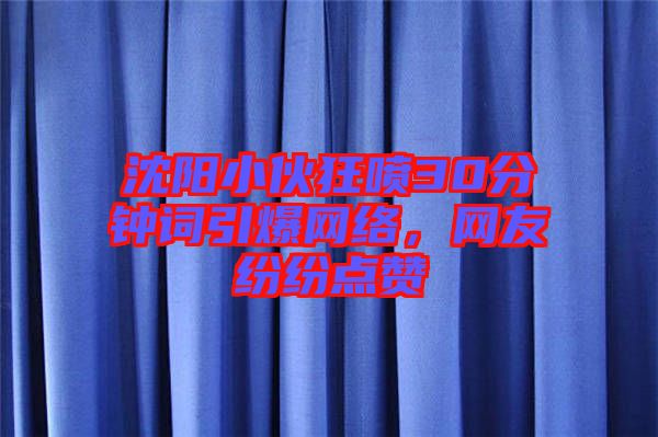 沈陽(yáng)小伙狂噴30分鐘詞引爆網(wǎng)絡(luò)，網(wǎng)友紛紛點(diǎn)贊
