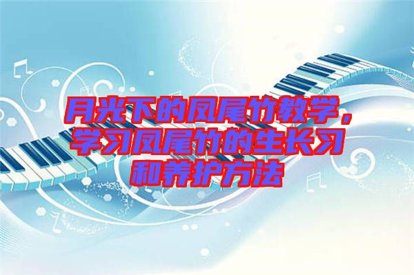 月光下的鳳尾竹教學(xué)，學(xué)習(xí)鳳尾竹的生長習(xí)和養(yǎng)護(hù)方法