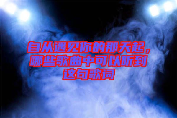 自從遇見你的那天起，哪些歌曲中可以聽到這句歌詞