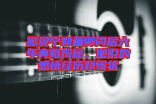 撒貝寧和董卿同居六年真相揭秘，他們的感情經(jīng)歷和現(xiàn)狀
