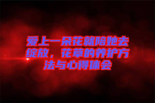 愛上一朵花就陪她去綻放，花草的養(yǎng)護(hù)方法與心得體會(huì)