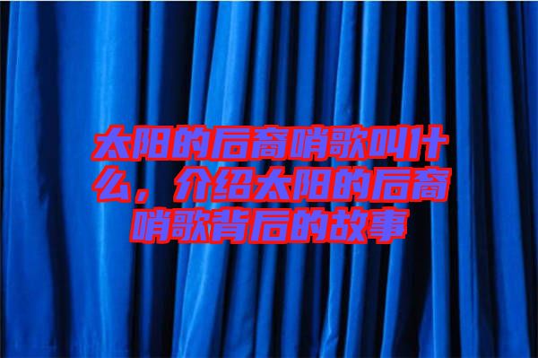 太陽的后裔哨歌叫什么，介紹太陽的后裔哨歌背后的故事