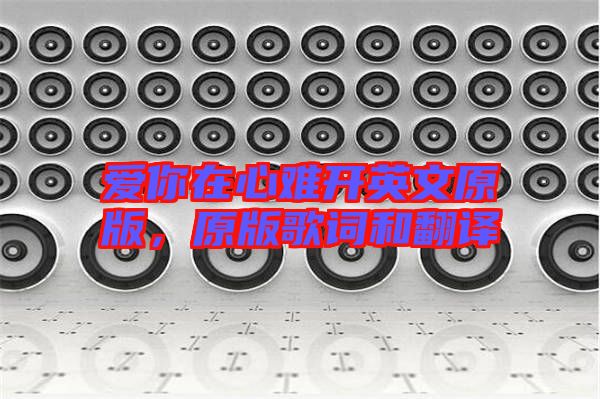 愛你在心難開英文原版，原版歌詞和翻譯