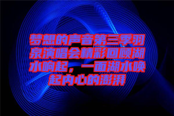 夢想的聲音第三季羽泉演唱會精彩回顧湖水響起，一面湖水喚起內(nèi)心的澎湃