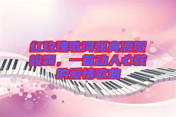 紅玫瑰歌詞張真源賀峻霖，一首動人心弦的愛情歌曲