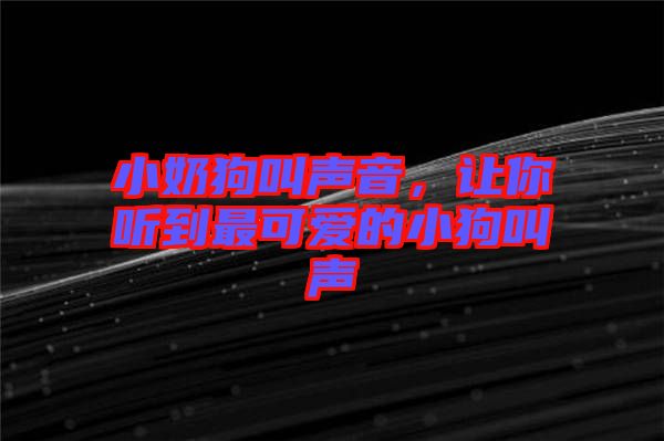 小奶狗叫聲音，讓你聽到最可愛的小狗叫聲