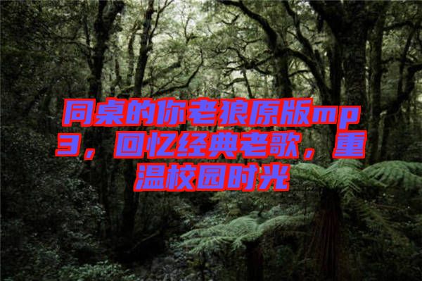 同桌的你老狼原版mp3，回憶經(jīng)典老歌，重溫校園時光