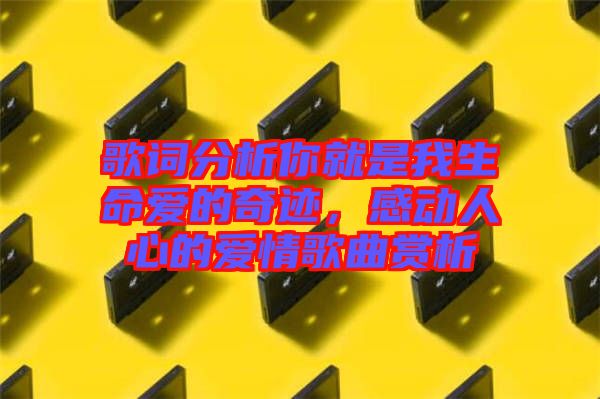 歌詞分析你就是我生命愛的奇跡，感動(dòng)人心的愛情歌曲賞析