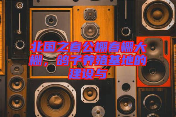 北國(guó)之春公棚春棚大棚，鴿子養(yǎng)殖基地的建設(shè)與