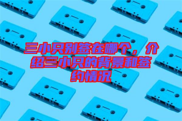 三小只別簽在哪個，介紹三小只的背景和簽約情況