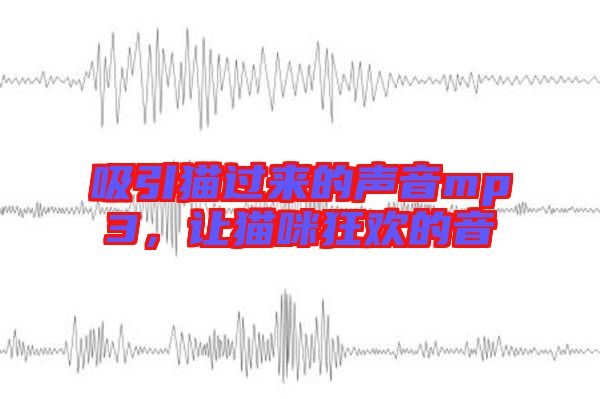 吸引貓過來的聲音mp3，讓貓咪狂歡的音