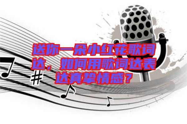 送你一朵小紅花歌詞達(dá)，如何用歌詞達(dá)表達(dá)真摯情感？