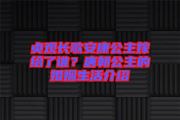 貞觀長歌安康公主嫁給了誰？唐朝公主的婚姻生活介紹