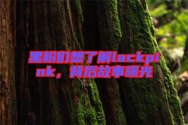 黑粉們想了解lackpink，背后故事曝光
