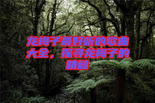 龍梅子最好聽的歌曲大全，探尋龍梅子的精髓