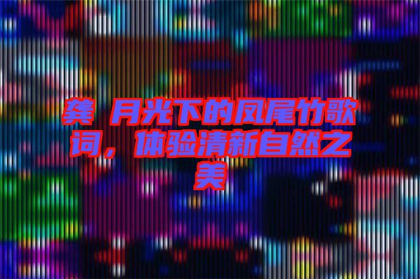 龔玥月光下的鳳尾竹歌詞，體驗清新自然之美
