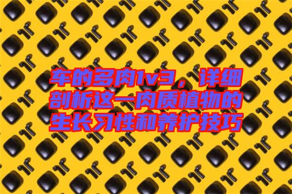 車的多肉1v3，詳細(xì)剖析這一肉質(zhì)植物的生長習(xí)性和養(yǎng)護(hù)技巧