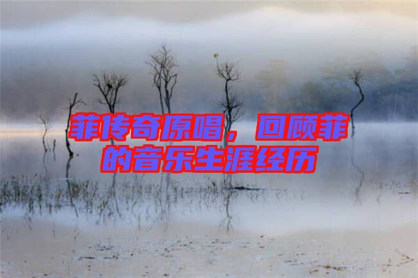 菲傳奇原唱，回顧菲的音樂生涯經(jīng)歷