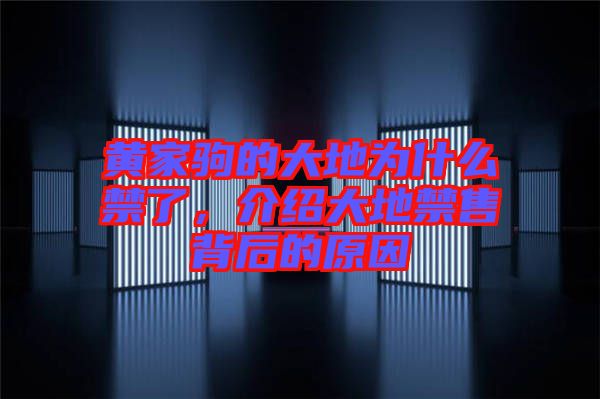 黃家駒的大地為什么禁了，介紹大地禁售背后的原因
