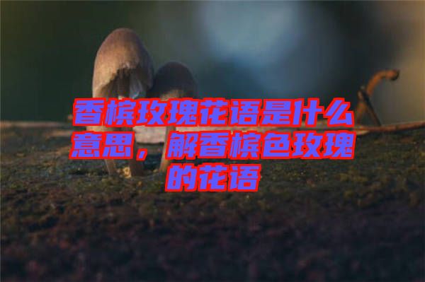 香檳玫瑰花語是什么意思，解香檳色玫瑰的花語