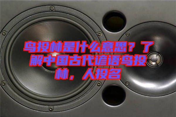 鳥投林是什么意思？了解中國古代諺語鳥投林，人投名