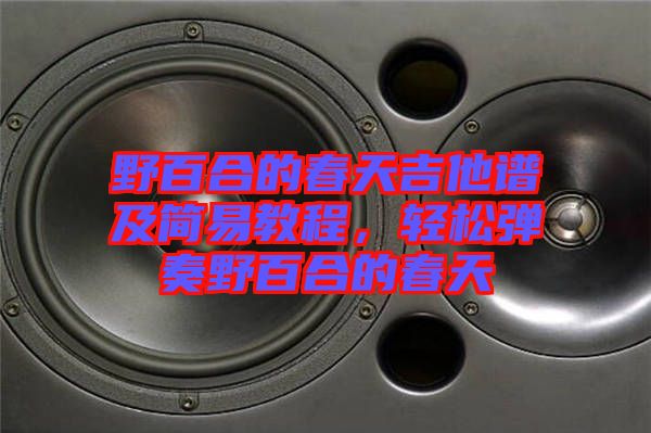野百合的春天吉他譜及簡(jiǎn)易教程，輕松彈奏野百合的春天