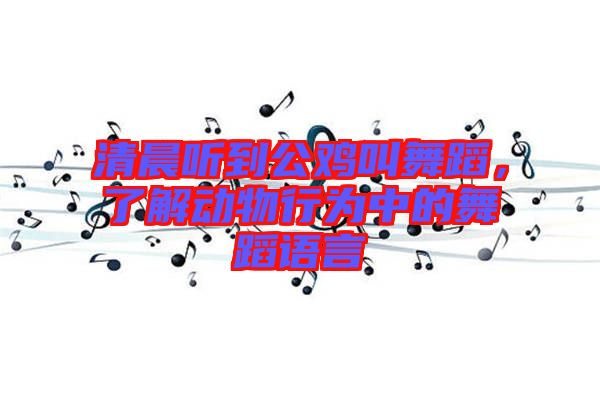 清晨聽到公雞叫舞蹈，了解動物行為中的舞蹈語言