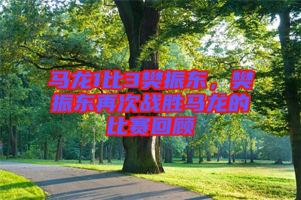 馬龍1比3樊振東，樊振東再次戰(zhàn)勝馬龍的比賽回顧