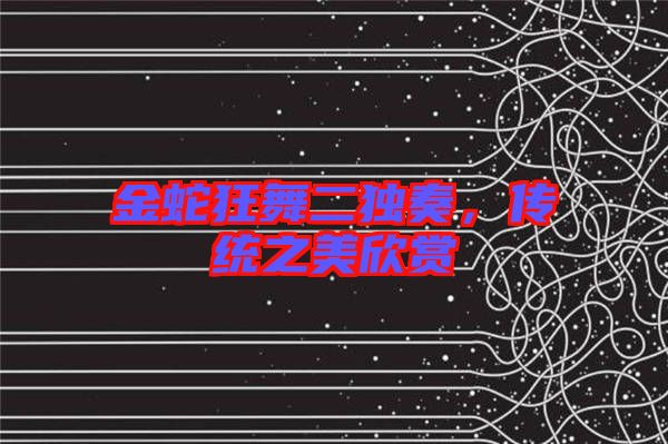 金蛇狂舞二獨奏，傳統(tǒng)之美欣賞