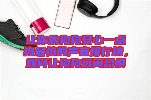 讓你的狗狗安心一點狗最怕的聲音排行榜，如何讓狗狗遠離恐懼