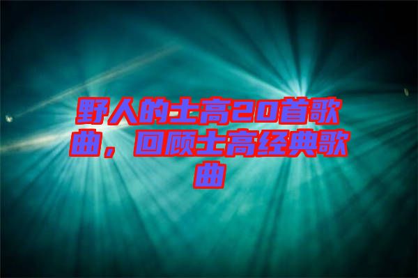 野人的士高20首歌曲，回顧士高經(jīng)典歌曲