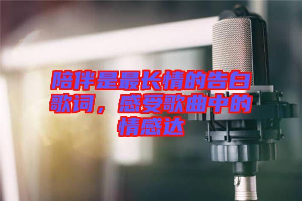 陪伴是最長情的告白歌詞，感受歌曲中的情感達(dá)