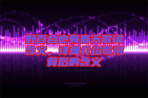 野百合也有春天歌詞含義，詳細(xì)介紹歌詞背后的含義