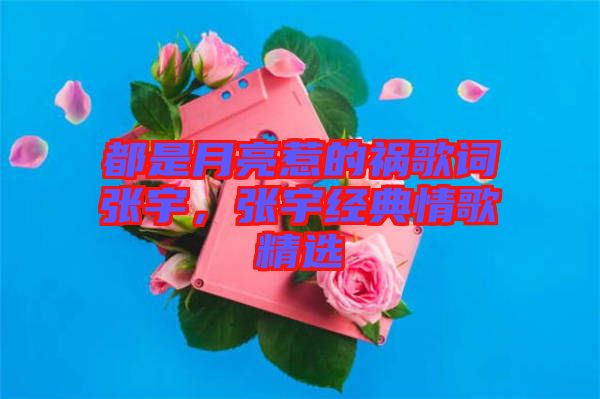 都是月亮惹的禍歌詞張宇，張宇經(jīng)典情歌精選